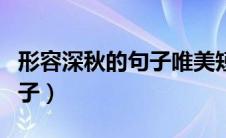 形容深秋的句子唯美短句简短（形容深秋的句子）