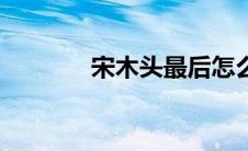 宋木头最后怎么样（宋木头）