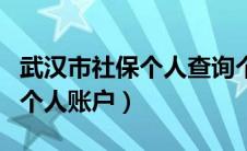 武汉市社保个人查询个人账户（武汉社保查询个人账户）