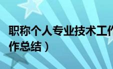 职称个人专业技术工作总结（个人专业技术工作总结）