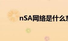 nSA网络是什么东西（nsa网络）