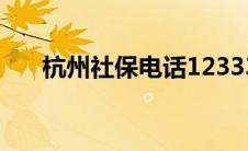 杭州社保电话12333（杭州社保电话）
