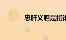忠肝义胆是指谁（忠肝义胆）