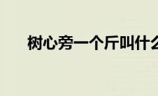 树心旁一个斤叫什么（树心旁一个斤）