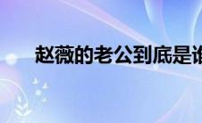赵薇的老公到底是谁的（赵薇的老公）