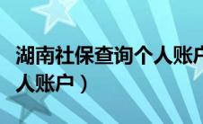 湖南社保查询个人账户查询（湖南社保查询个人账户）