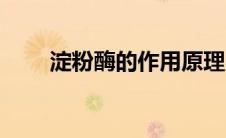 淀粉酶的作用原理（淀粉酶的作用）