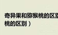 奇异果和猕猴桃的区别是什么（奇异果和猕猴桃的区别）