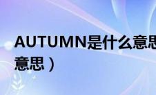 AUTUMN是什么意思中文（autumn是什么意思）