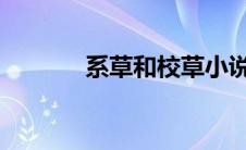 系草和校草小说全文免费阅读