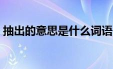 抽出的意思是什么词语（抽出的意思是什么）