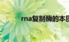 rna复制酶的本质（rna复制酶）