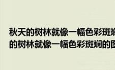 秋天的树林就像一幅色彩斑斓的图画写一段话460字（秋天的树林就像一幅色彩斑斓的图画写一段话）