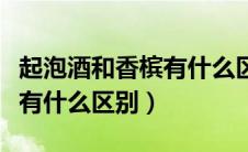 起泡酒和香槟有什么区别图片（起泡酒和香槟有什么区别）