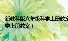 新教科版六年级科学上册教案课后反思（新教科版六年级科学上册教案）