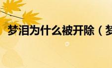 梦泪为什么被开除（梦泪为什么被踢出ag）