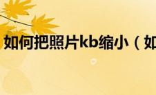 如何把照片kb缩小（如何把照片缩小到20k）