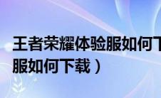 王者荣耀体验服如何下载安卓（王者荣耀体验服如何下载）