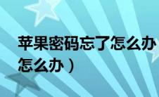 苹果密码忘了怎么办 屏幕锁（苹果密码忘了怎么办）