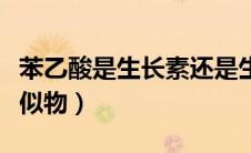 苯乙酸是生长素还是生长素类似物（生长素类似物）