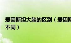爱因斯坦大脑的区别（爱因斯坦的大脑与普通人到底有什么不同）