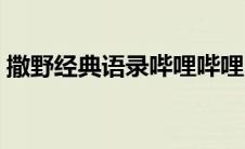 撒野经典语录哔哩哔哩（撒野经典语录大全）