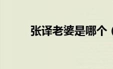 张译老婆是哪个（张译老婆是谁）