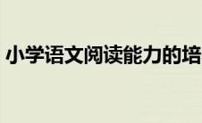 小学语文阅读能力的培养（阅读能力的培养）