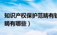 知识产权保护范畴有软件吗（传统知识产权范畴有哪些）