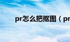 pr怎么把抠图（pr怎么抠图换背景）