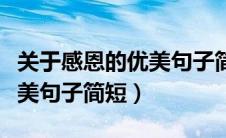 关于感恩的优美句子简短一点（关于感恩的优美句子简短）