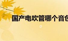 国产电吹管哪个音色好（国产电吹管）