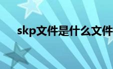 skp文件是什么文件（skp是什么格式）