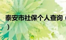 泰安市社保个人查询（泰安社保查询个人账户）