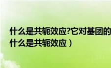 什么是共轭效应?它对基团的红外吸收峰位置有什么影响?（什么是共轭效应）