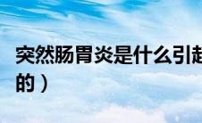 突然肠胃炎是什么引起的（肠胃炎是什么引起的）
