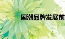 国潮品牌发展前景（国潮品牌）