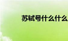 苏轼号什么什么（苏轼号什么）