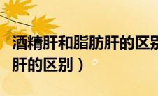酒精肝和脂肪肝的区别是什么（酒精肝和脂肪肝的区别）