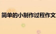 简单的小制作过程作文（简单的小制作过程）