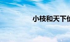 小枝和天下价格（小枝）