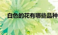白色的花有哪些品种（白色的花有哪些）