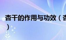 杏干的作用与功效（杏仁的功效与作用是什么）