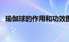 瑜伽球的作用和功效图片（瑜伽球的作用）