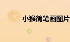 小猴简笔画图片（小猴简笔画）