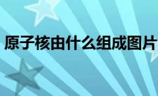 原子核由什么组成图片（原子核由什么组成）