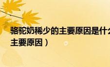 骆驼奶稀少的主要原因是什么?有几个答案（骆驼奶稀少的主要原因）