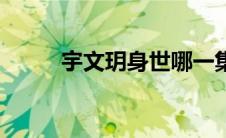 宇文玥身世哪一集（宇文玥身世）