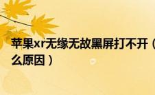苹果xr无缘无故黑屏打不开（苹果xr突然黑屏开不了机是什么原因）