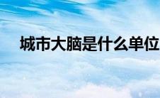 城市大脑是什么单位（城市大脑是什么）